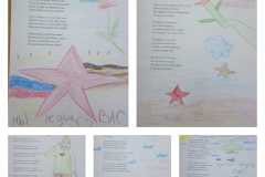 IMG-20230221-WA0031